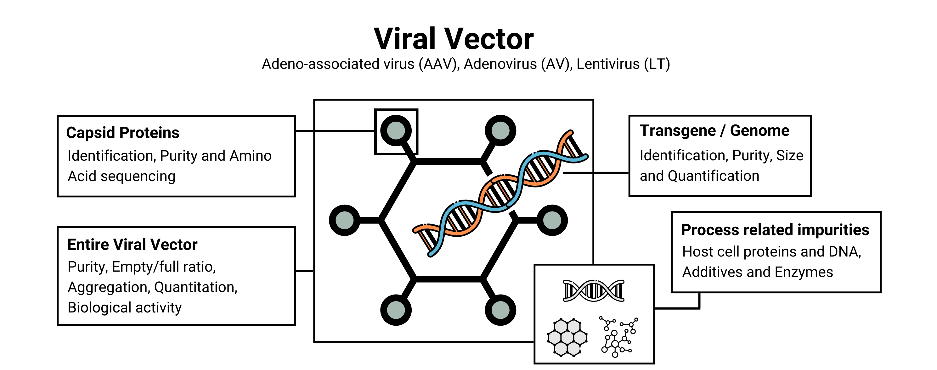 Viral Vector Analysis Schema